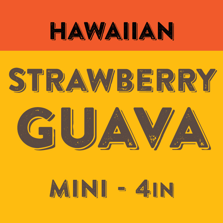 Hawaiian Strawberry Guava - Mini
