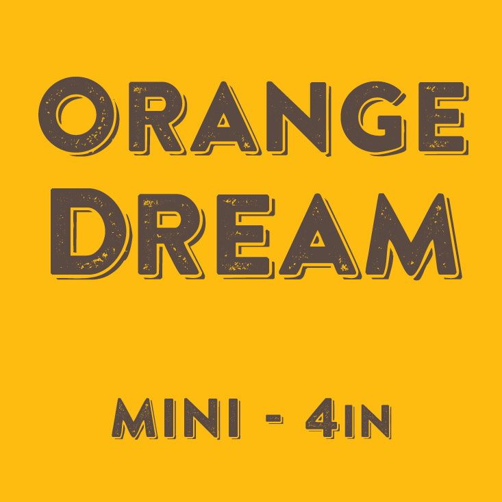 Orange Dream - Mini