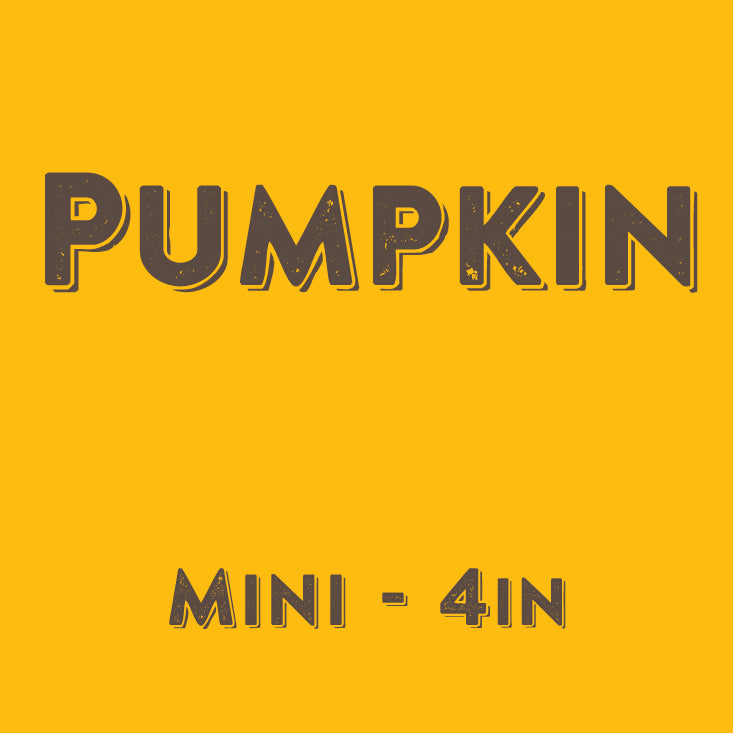 Pumpkin - Mini