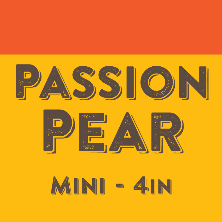 Passion Pear - Mini